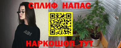 каннабис Кунгур